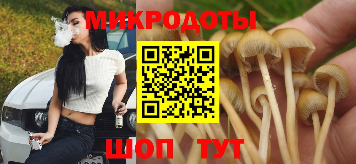 Псилоцибиновые грибы Psilocybine cubensis  Вход с VPN  Советский 